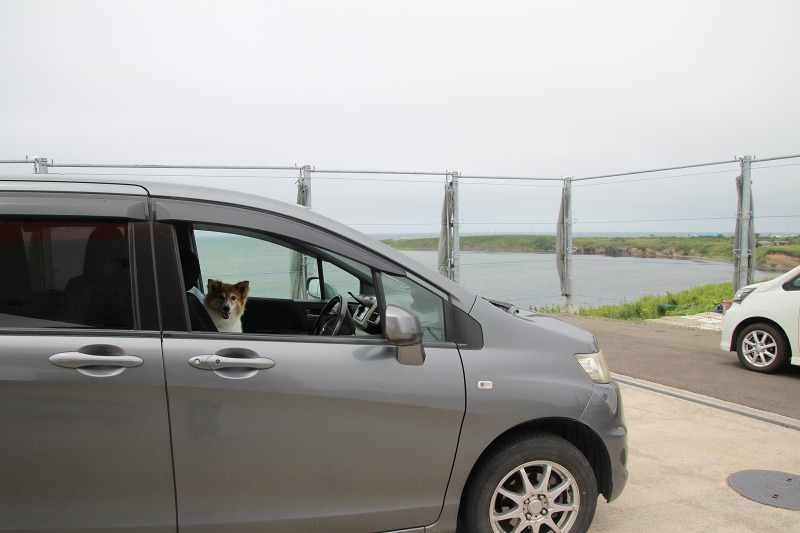 ファイル 98-2.jpg