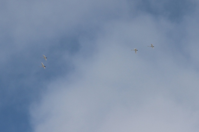 ファイル 1-4.jpg