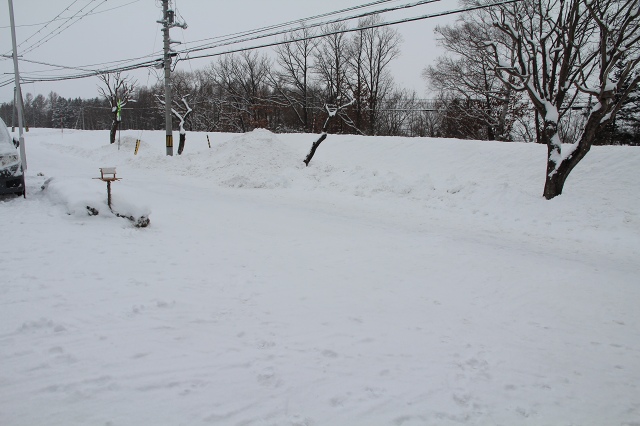 ファイル 1-7.jpg