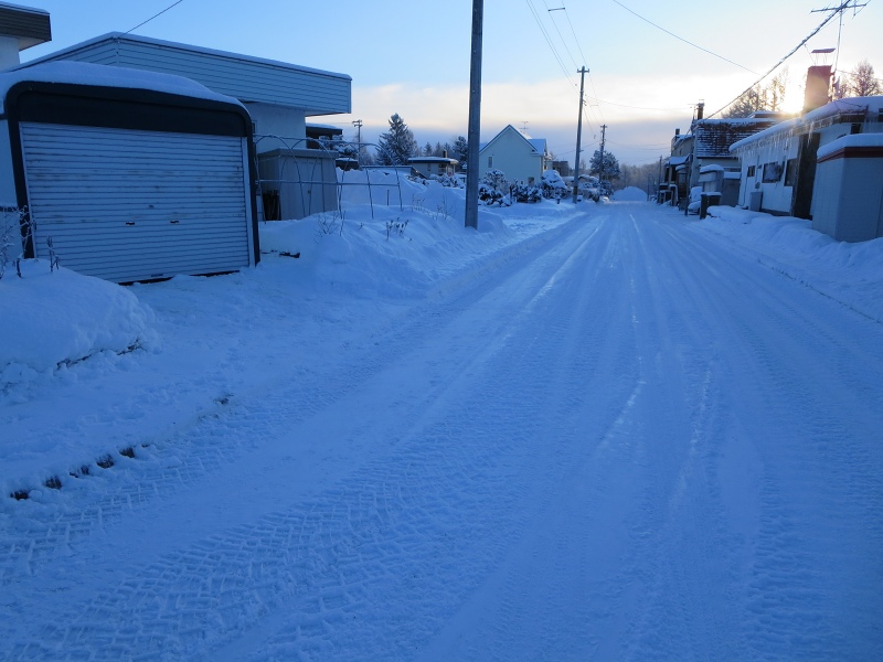 ファイル 10-1.jpg