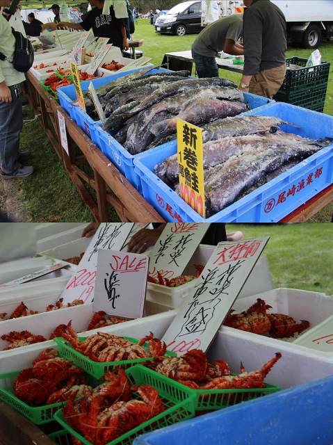 ファイル 102-2.jpg