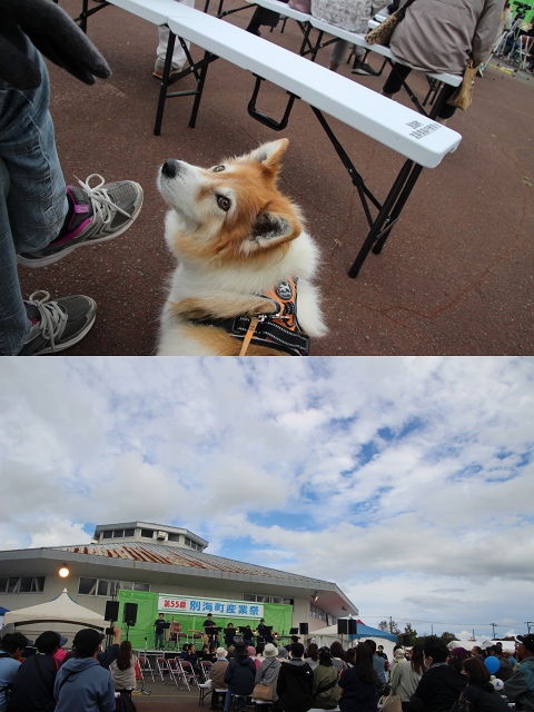 ファイル 102-5.jpg