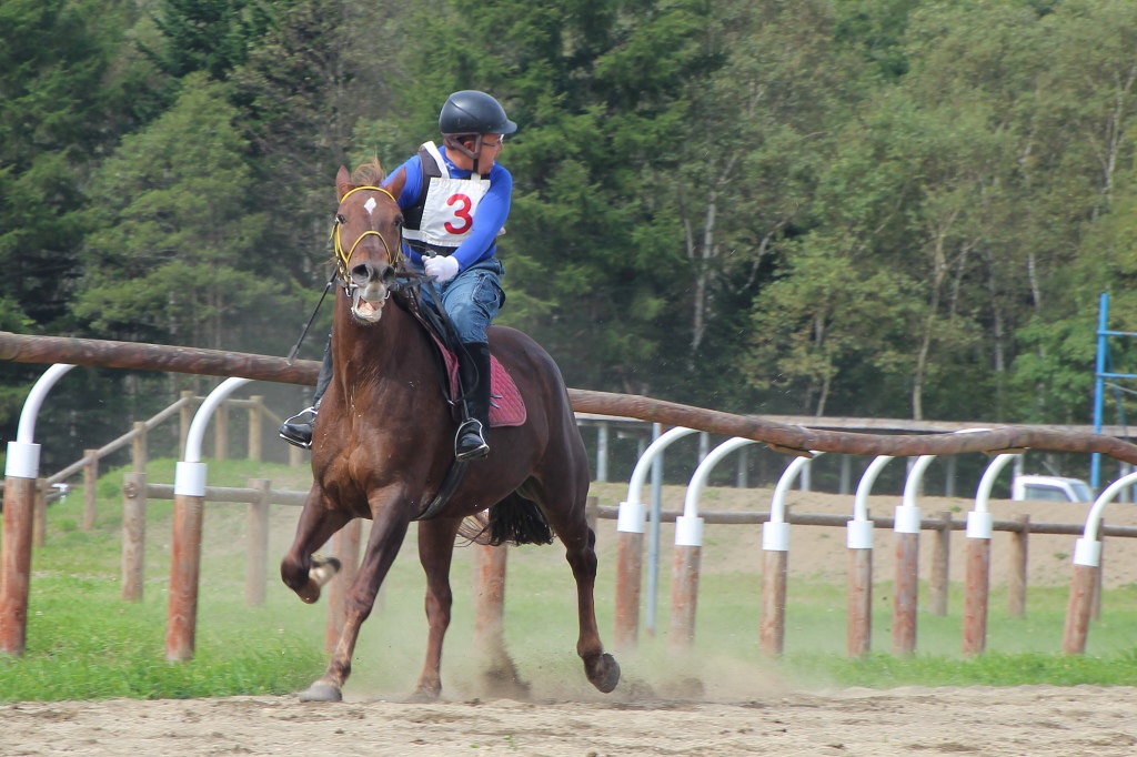 ファイル 103-4.jpg