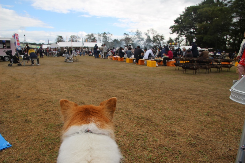 ファイル 104-2.jpg