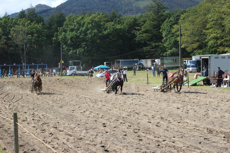 ファイル 106-1.jpg