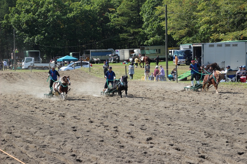 ファイル 106-3.jpg