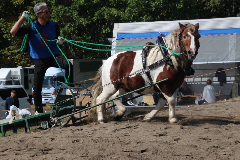 ファイル 106-4.jpg