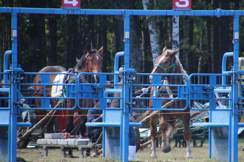 ファイル 106-6.jpg