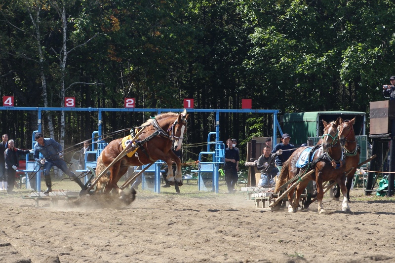 ファイル 106-7.jpg