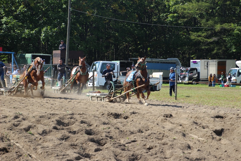 ファイル 106-8.jpg