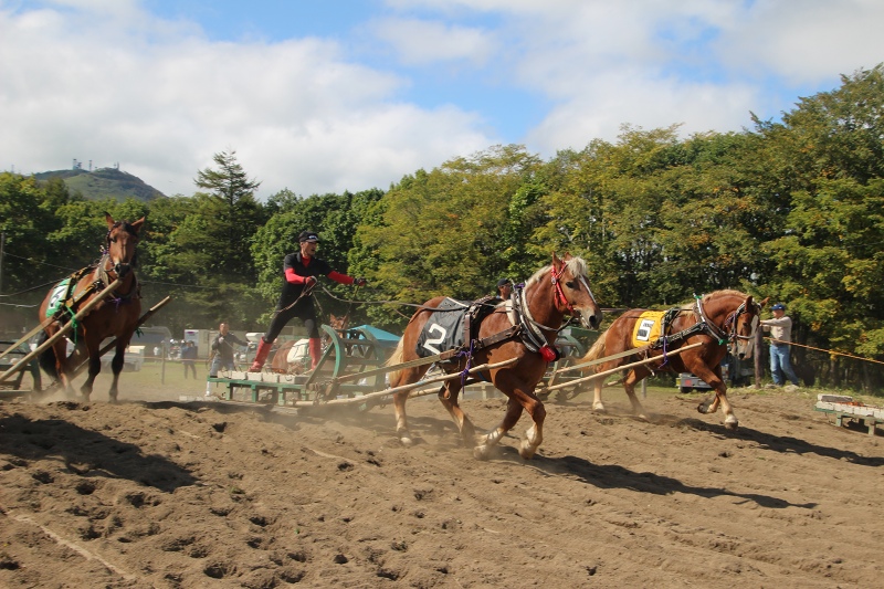 ファイル 106-9.jpg