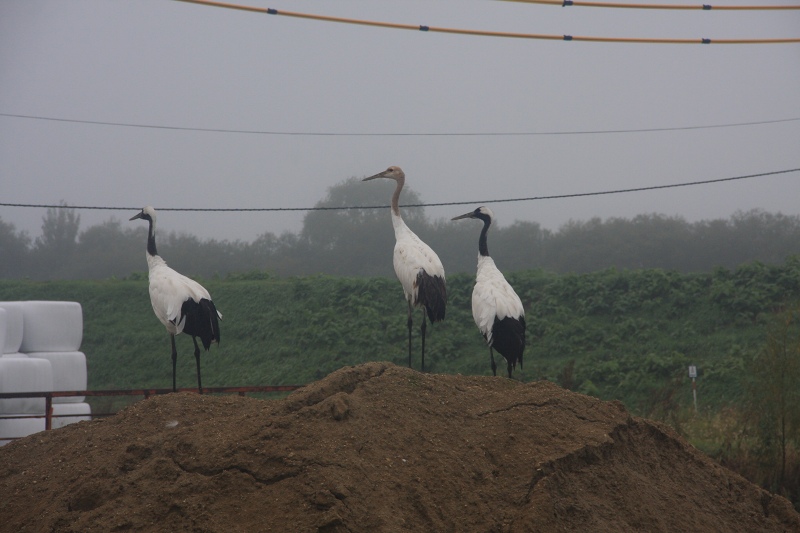 ファイル 108-1.jpg