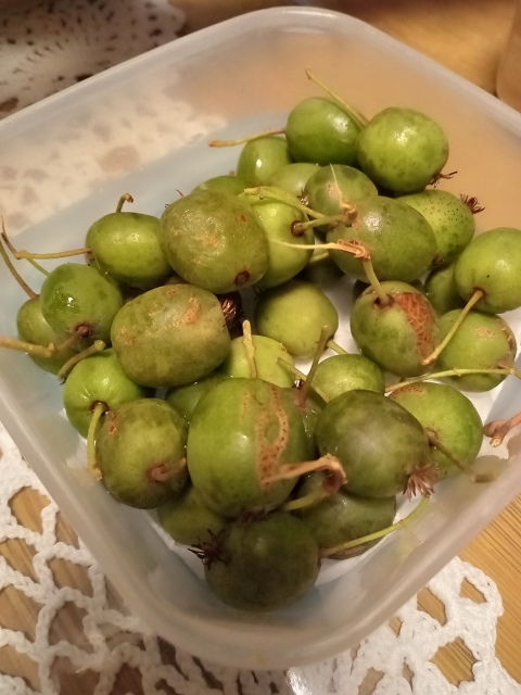 ファイル 108-3.jpg