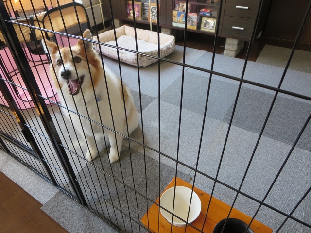 ファイル 109-1.jpg