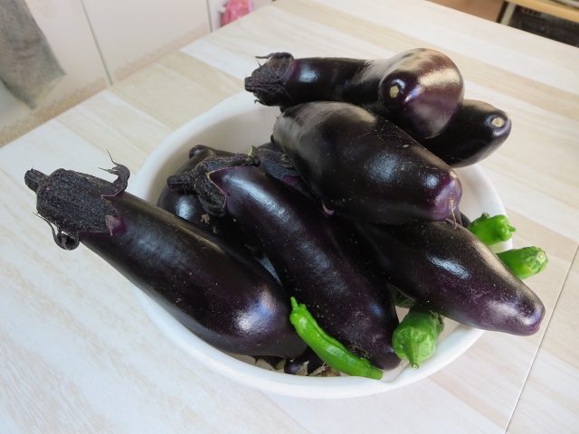 ファイル 110-1.jpg