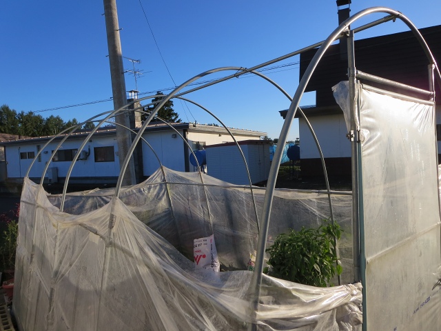 ファイル 111-9.jpg