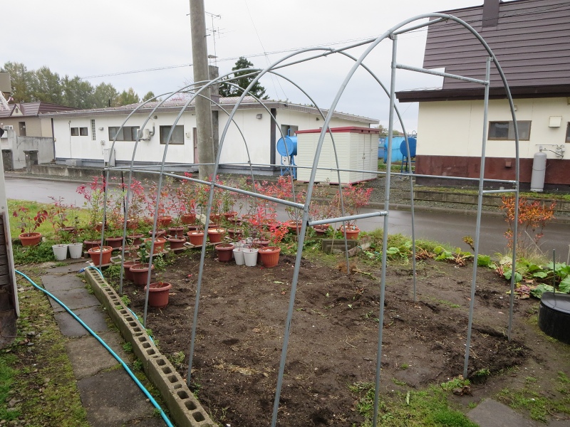 ファイル 112-3.jpg