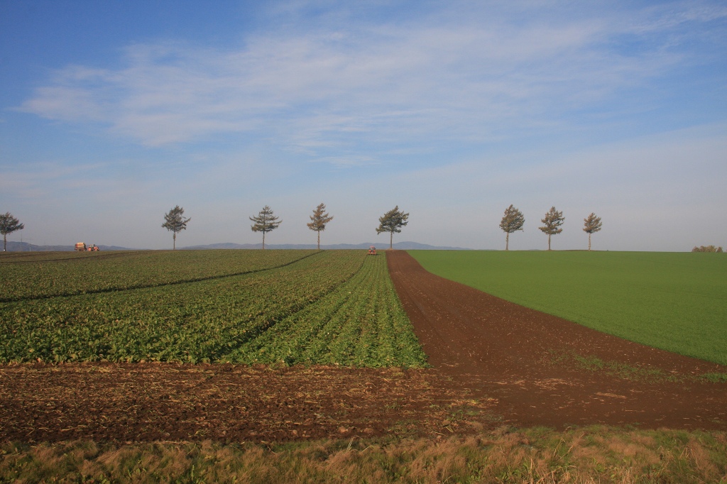 ファイル 113-1.jpg