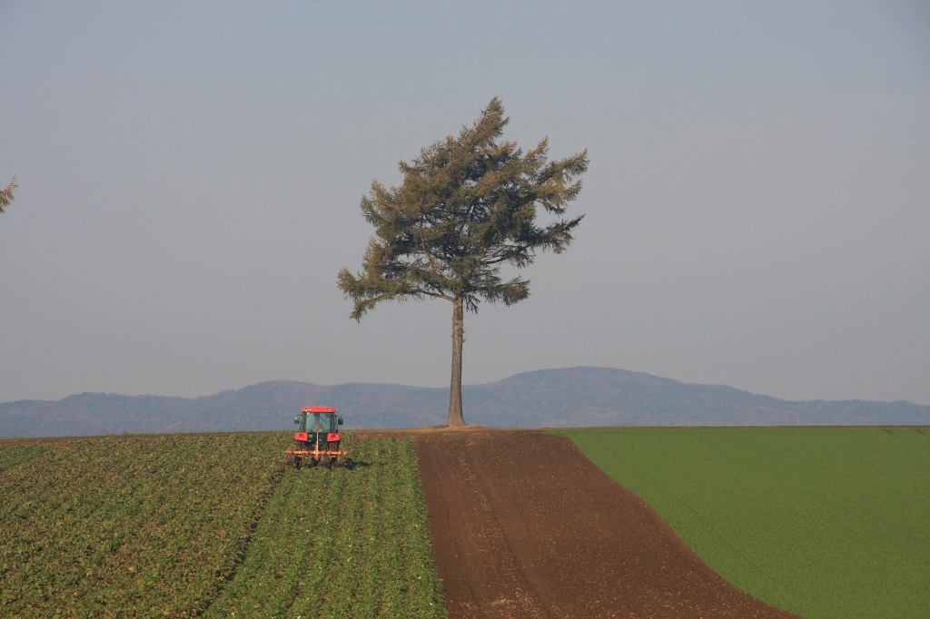 ファイル 113-2.jpg