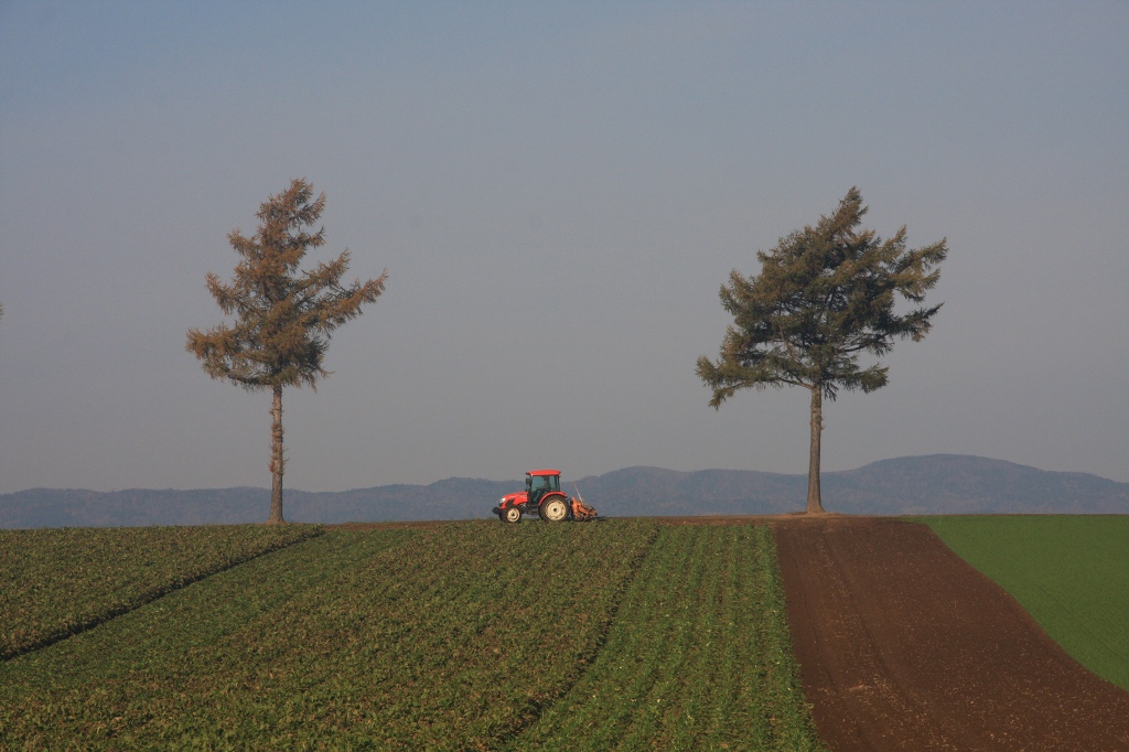 ファイル 113-4.jpg