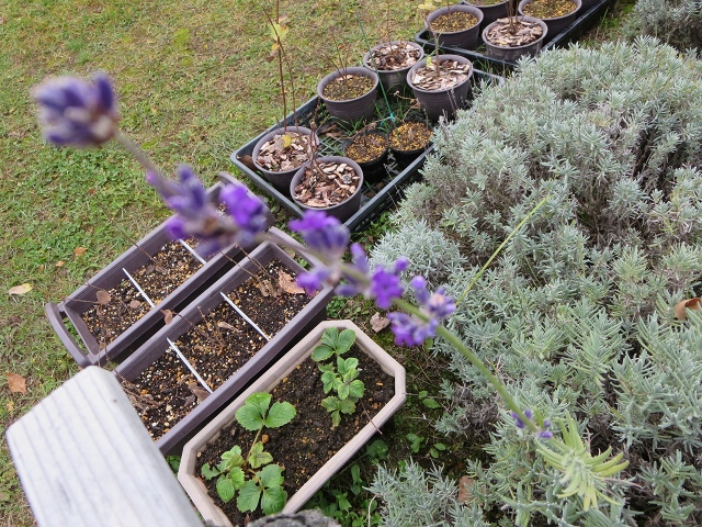 ファイル 114-4.jpg