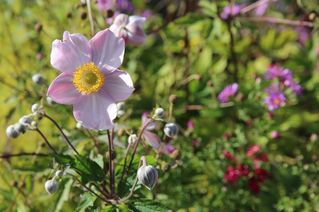 ファイル 115-3.jpg