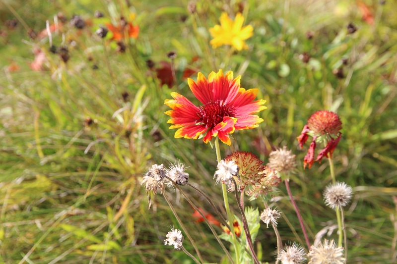 ファイル 115-4.jpg