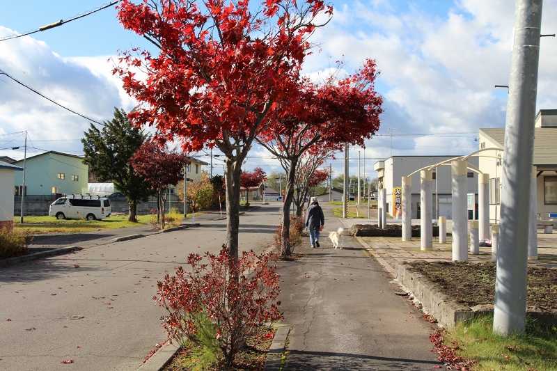 ファイル 115-5.jpg