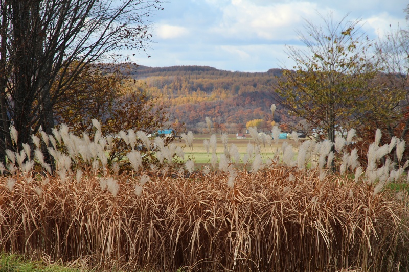 ファイル 115-6.jpg