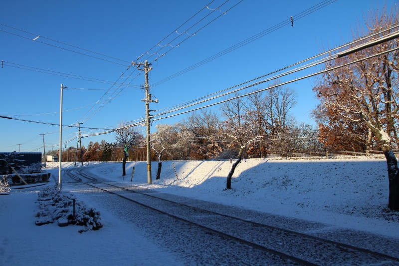 ファイル 117-1.jpg