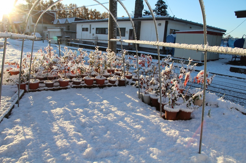 ファイル 117-2.jpg