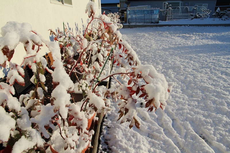 ファイル 117-3.jpg