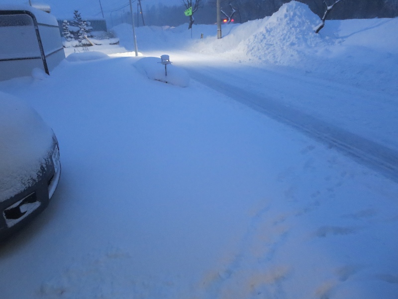 ファイル 12-1.jpg