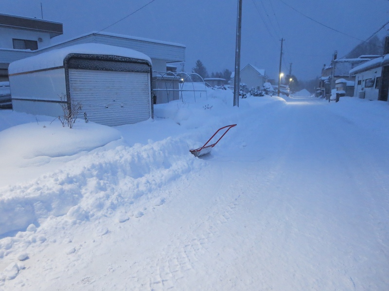 ファイル 12-2.jpg