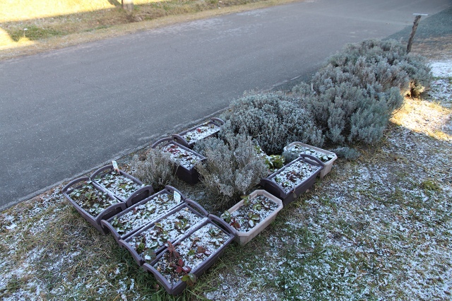 ファイル 120-1.jpg