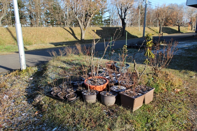 ファイル 120-2.jpg