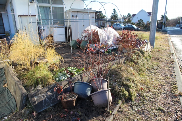 ファイル 120-5.jpg