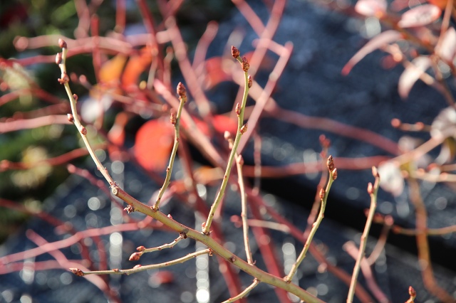 ファイル 120-7.jpg