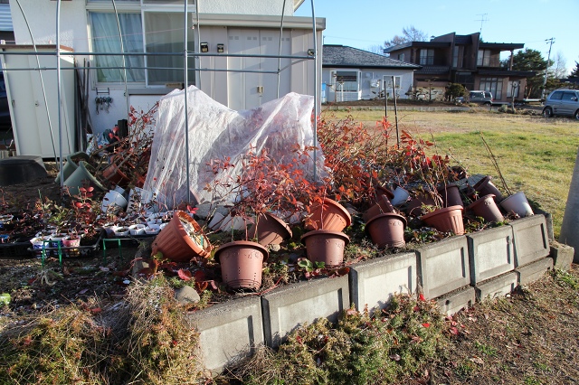 ファイル 120-9.jpg