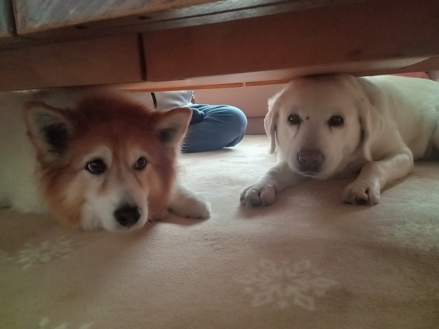 ファイル 121-3.jpg