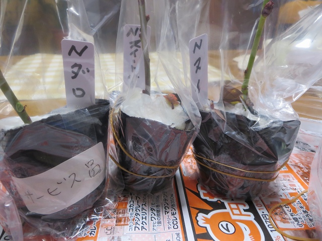 ファイル 121-5.jpg