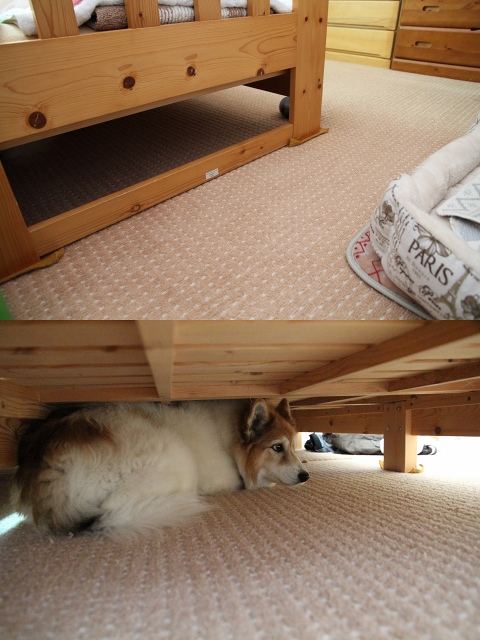 ファイル 122-3.jpg