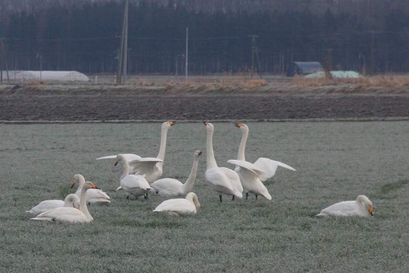 ファイル 124-2.jpg