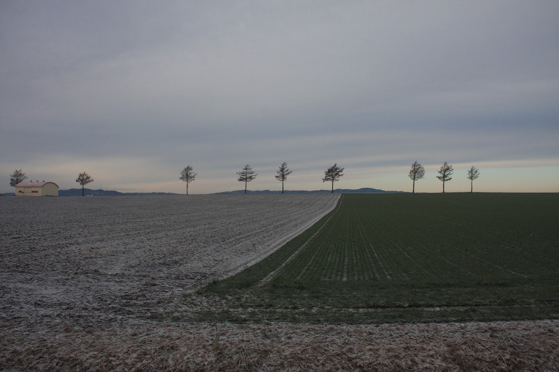 ファイル 124-3.jpg