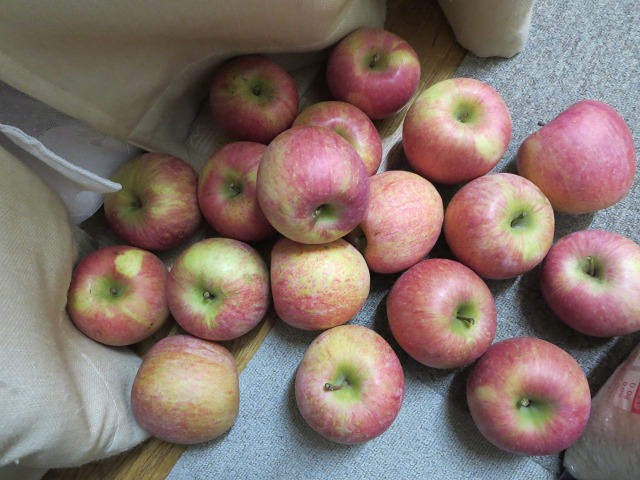 ファイル 124-4.jpg