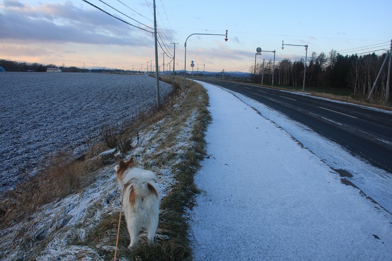 ファイル 124-5.jpg