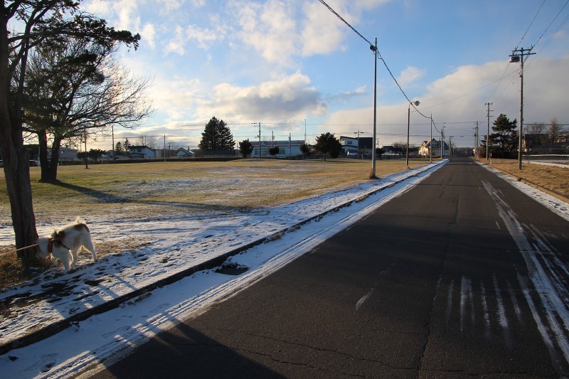 ファイル 126-5.jpg