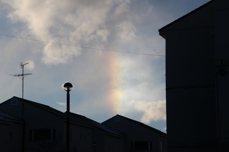 ファイル 126-6.jpg