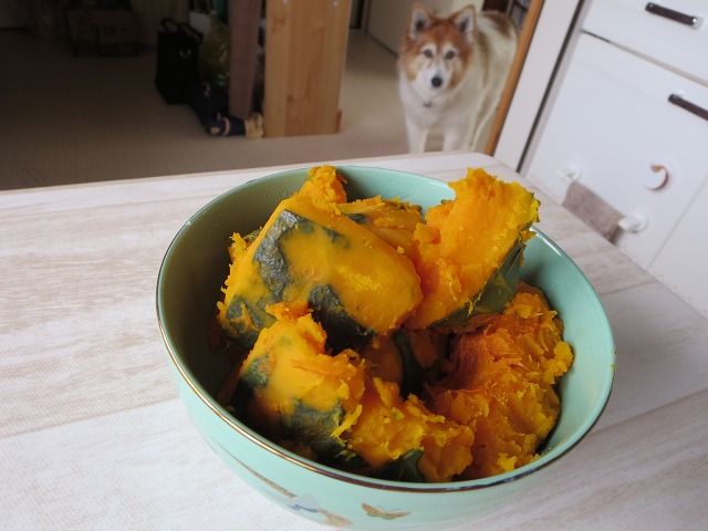 ファイル 128-1.jpg