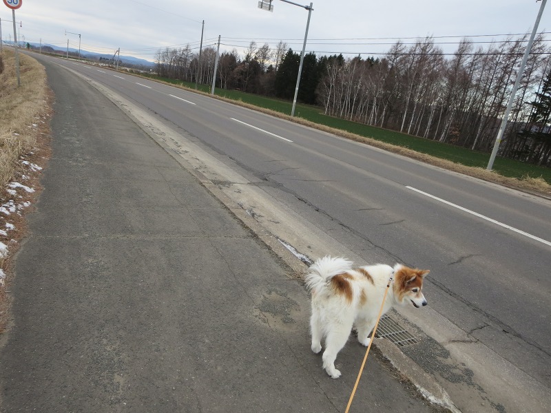 ファイル 128-3.jpg